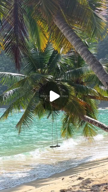 Welcome to Dominican Republic!
Playa Ermitaño, heaven on earth 🤍
Выбор места отдыха определит ваш опыт, предпочтения и может полностью изменить вашу жизнь!
#dominicanrepublic #visitdominicanrepublic #godomrep #turismord #DominicanatourismInfo