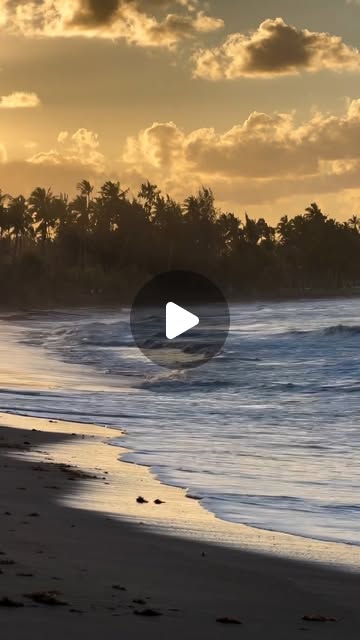 Welcome to Dominican Republic!
Playa Bonita идеально подходит для вечерних прогулок
Цвета заката полностью меняют пейзаж
Море напоминает, что после каждого отлива приходит прилив и надежды возвращаются
Пляжи Лас-Терренас — это не только красивые карибские открытки! 
Это спокойный темп жизни, яркая культурная смесь, возвращение рыбаков на закате и понимание того, что роскошь путешествия может быть простой
📍Playa Bonita, Las Terrenas, Samaná
#PlayaBonita #LasTerrenas #samana #godomrep #turismord #dominicanatourisminfo
@profetraveler