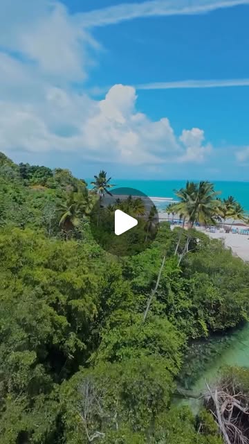 Welcome to Dominican Republic!
Невероятное разнообразие и очарование природы Саманы в одном рилсе!
📽️ @tincho_fpv
#samana #visitdominicanrepublic #godomrep #turismord #DominicanatourismInfo